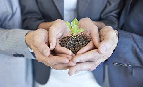 Hands Holding Earth environment green